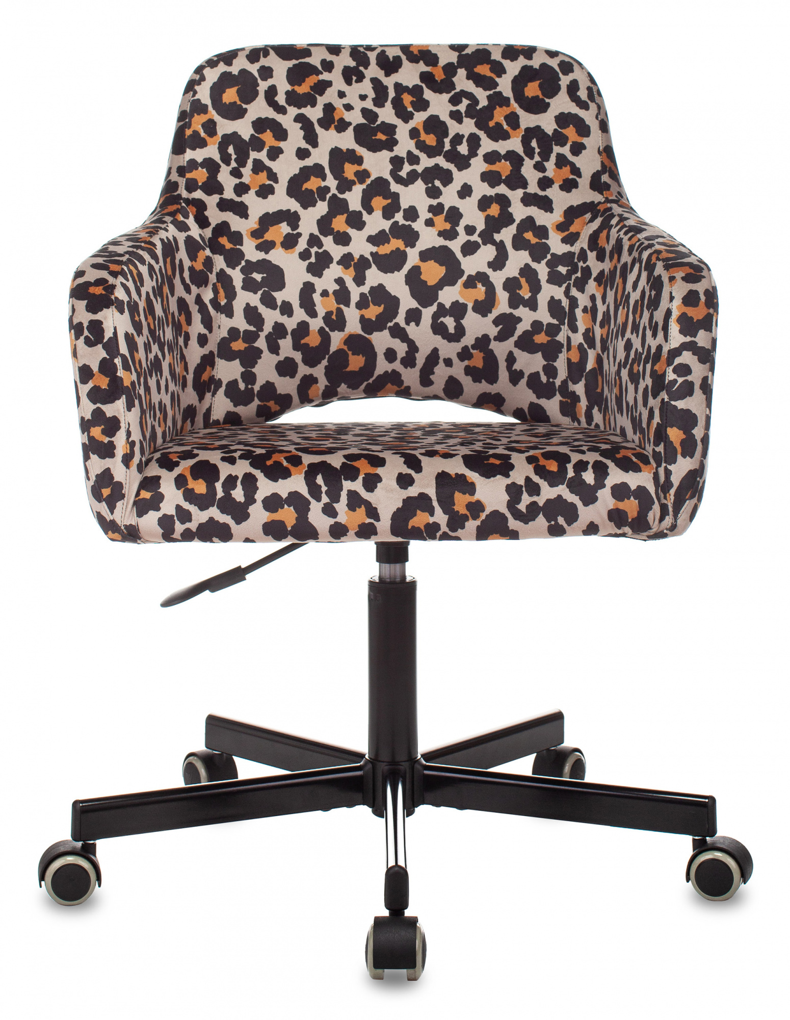 Изображение из галереи