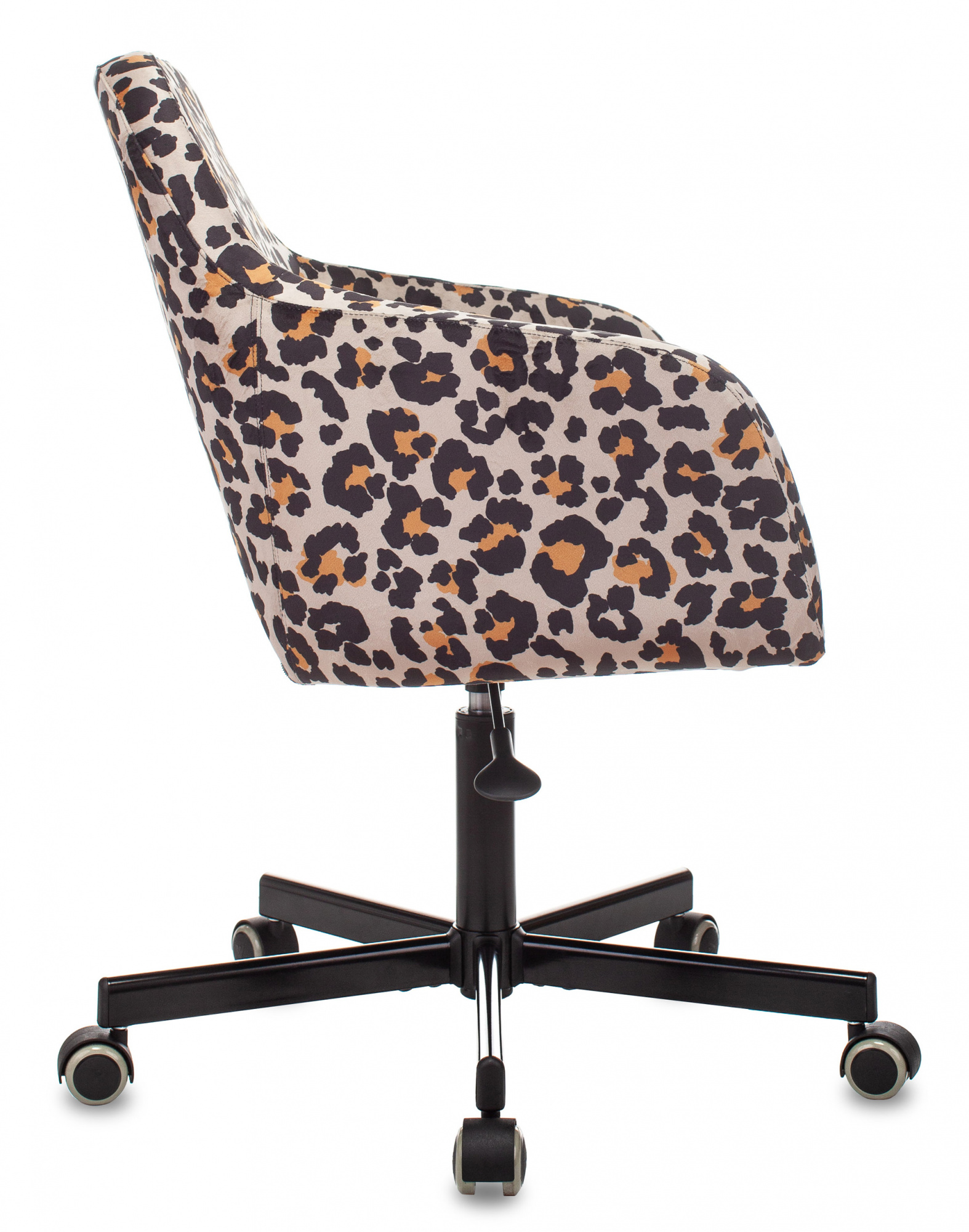 Изображение из галереи