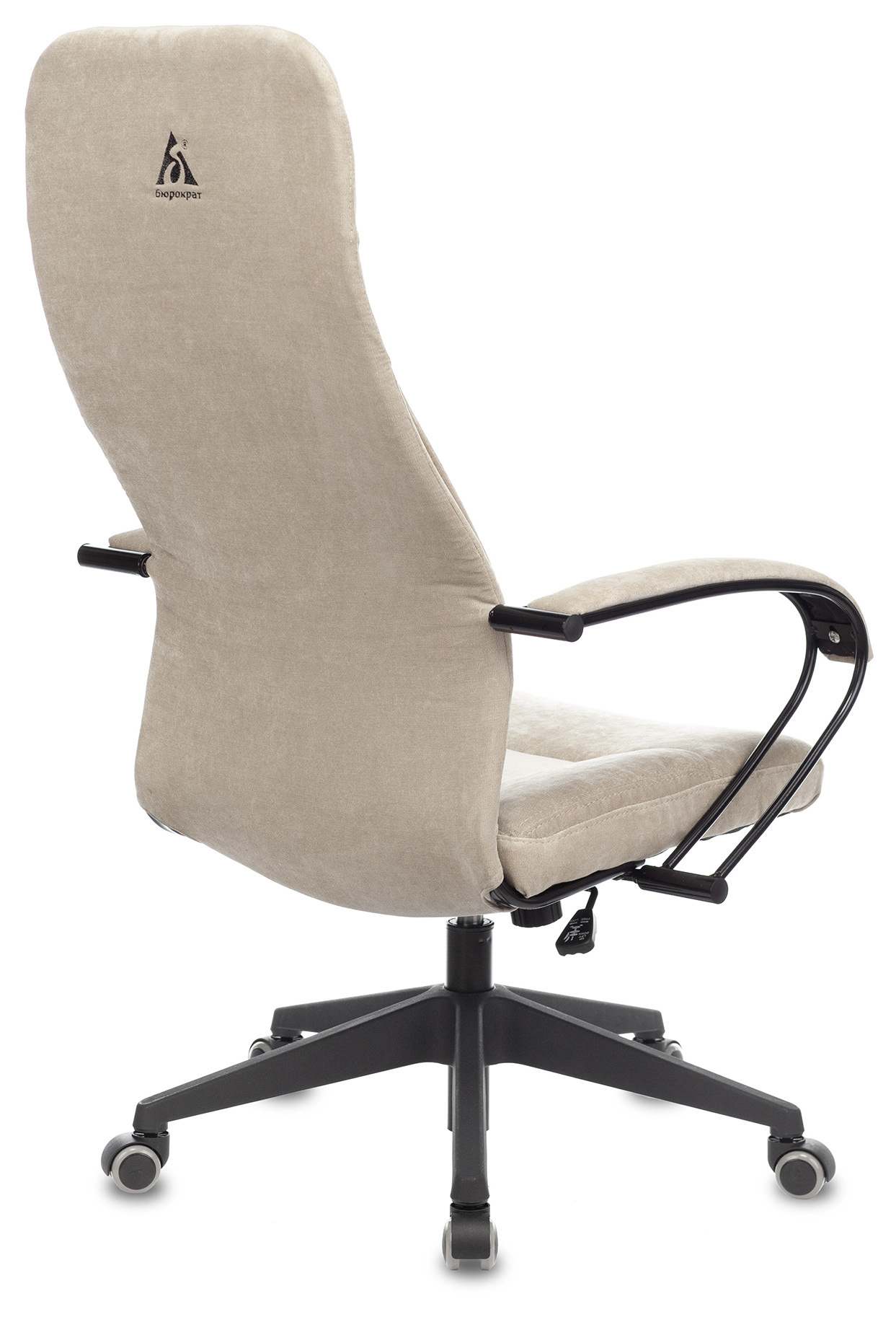 Изображение из галереи