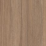 Дуб кофейный