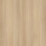 Акация лорка