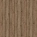 Бук артизан трюфельный